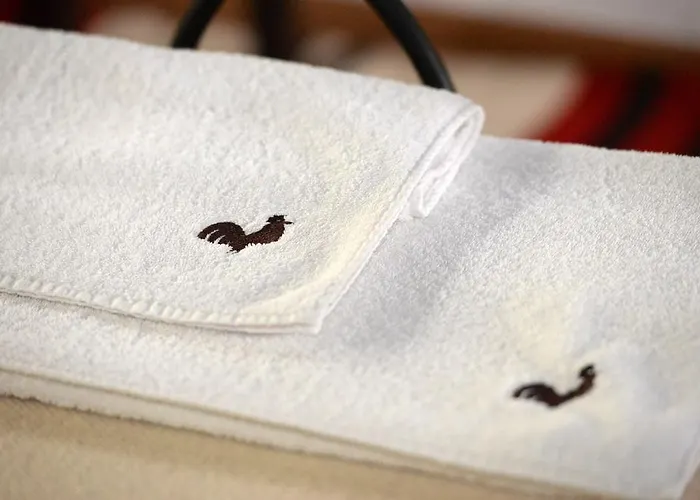 Хотел стария семеен