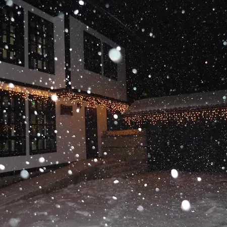 стария семеен Добрич